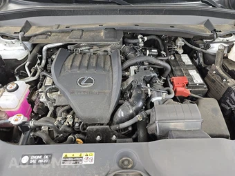 2024 Lexus TX 350 – miniatura 16
