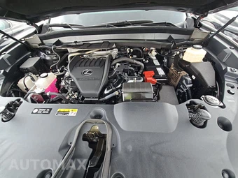 2024 Lexus TX 350 Luxury – miniatura 15