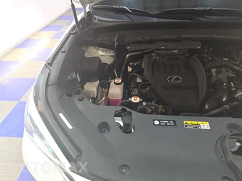 2024 Lexus TX 350 Premium - miniatura 23