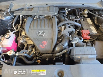 2024 Lexus TX 350 Premium - miniatura 17