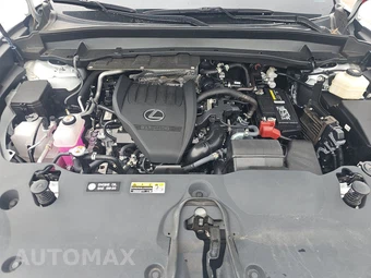 2024 Lexus TX 350 Premium – miniatura 15