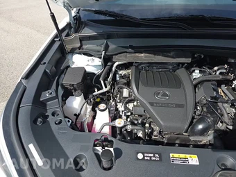 2024 Lexus TX 500h F SPORT Performance Luxury - miniatura 22
