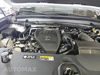 2024 Lexus TX 500h F SPORT Performance Premium - miniatura 16