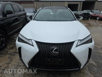 2024 Lexus UX 250h F SPORT Handling - miniatura 2