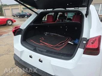 2024 Lexus UX 250h F SPORT Handling - miniatura 20