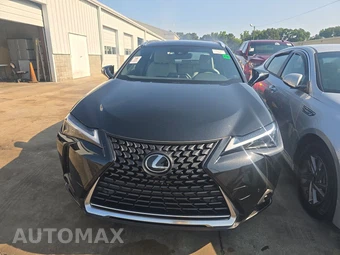 2024 Lexus UX 250h Premium – miniatura 2