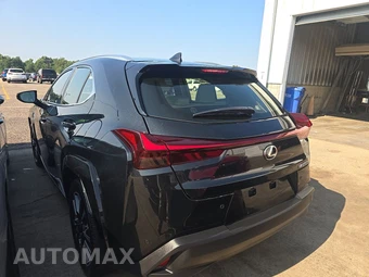 2024 Lexus UX 250h Premium – miniatura 5