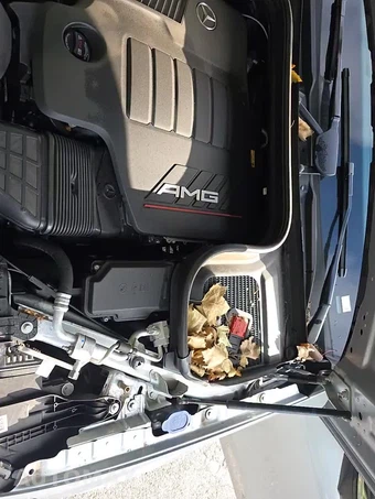 2024 Mercedes-Benz AMG GLE 53 4MATIC+ - miniatura 25