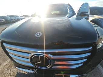 2024 Mercedes-Benz GLS 450 4MATIC - miniatura 15