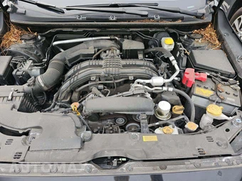 2024 Subaru Impreza 5-Door - miniatura 22