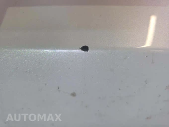 2024 Tesla Model Y Long Range - miniatura 22