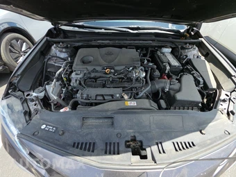 2024 Toyota Camry LE - miniatura 22