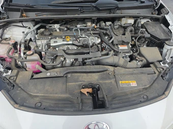 2024 Toyota Prius XLE - miniatura 22