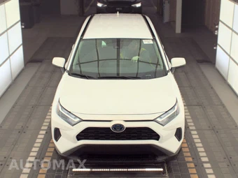 2024 Toyota RAV4 Hybrid LE - miniatura 2