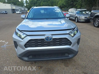 2024 Toyota RAV4 Hybrid XLE - miniatura 2