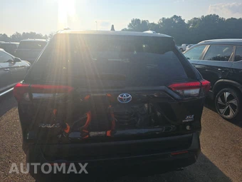 2024 Toyota RAV4 Hybrid XLE - miniatura 5