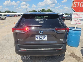 2024 Toyota RAV4 Hybrid XLE - miniatura 5
