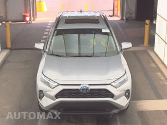 2024 Toyota RAV4 Hybrid XLE Premium - miniatura 2