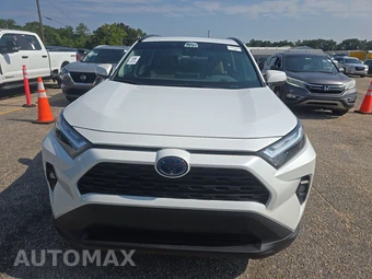 2024 Toyota RAV4 Hybrid XLE Premium - miniatura 2
