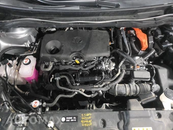 2024 Toyota Sienna LE 8-Passenger 120.5" WB - miniatura 16
