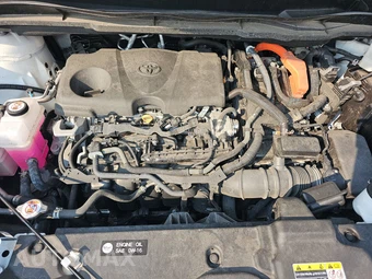 2024 Toyota Sienna LE 8-Passenger 120.5" WB - miniatura 23