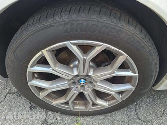 2025 BMW X7 xDrive40i - miniatura 23