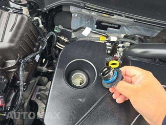 2025 Chevrolet Equinox LT 2LT - miniatura 22