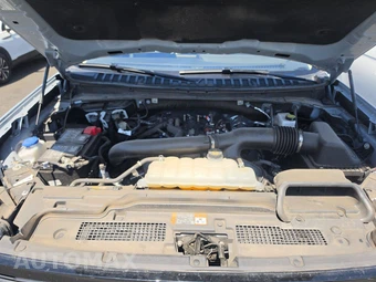 2025 Ford Expedition Active - miniatura 7