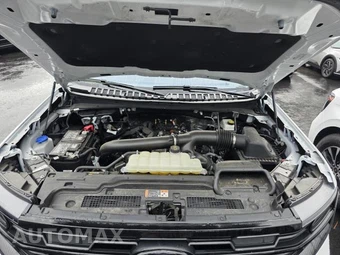 2025 Ford Expedition Active - miniatura 19