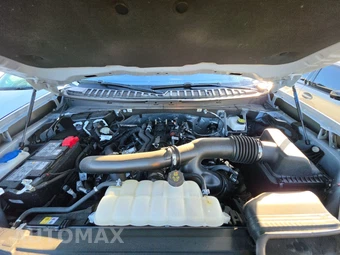 2025 Ford Expedition Active - miniatura 7