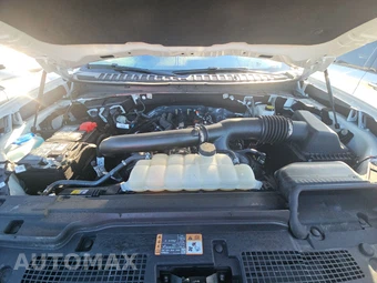 2025 Ford Expedition Active - miniatura 7