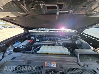2025 Ford Expedition Active - miniatura 16