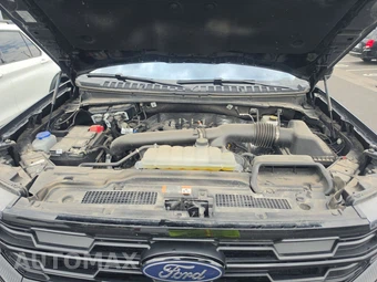 2025 Ford Expedition Active - miniatura 7