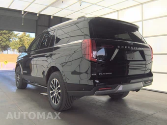 2025 Ford Expedition Platinum - miniatura 2