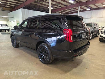 2025 Ford Expedition Platinum - miniatura 2