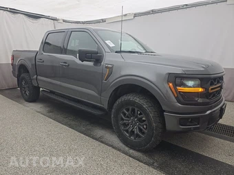 2025 Ford F-150 Tremor Crew Cab Short Bed - miniatura 3