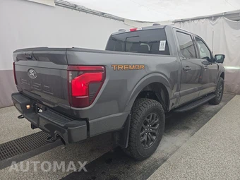 2025 Ford F-150 Tremor Crew Cab Short Bed - miniatura 4