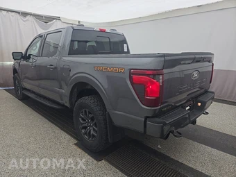2025 Ford F-150 Tremor Crew Cab Short Bed - miniatura 6