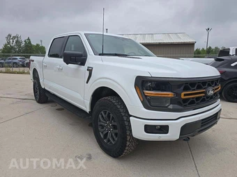 2025 Ford F-150 Tremor Crew Cab Short Bed - miniatura 4