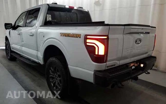 2025 Ford F-150 Tremor Crew Cab Short Bed - miniatura 4