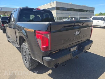 2025 Ford F-150 Tremor Crew Cab Short Bed - miniatura 6