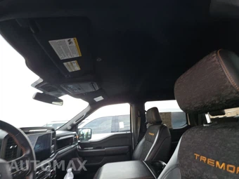 2025 Ford F-150 Tremor Crew Cab Short Bed - miniatura 18