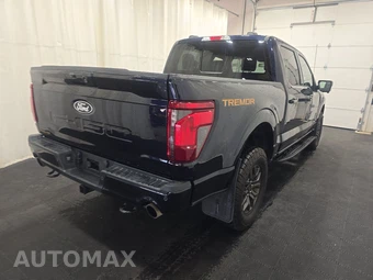 2025 Ford F-150 Tremor Crew Cab Short Bed - miniatura 4