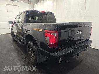 2025 Ford F-150 Tremor Crew Cab Short Bed - miniatura 6