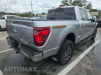 2025 Ford F-150 Tremor Crew Cab Short Bed - miniatura 3
