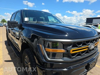 2025 Ford F-150 Tremor Crew Cab Short Bed - miniatura 3