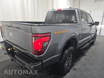 2025 Ford F-150 Tremor Crew Cab Short Bed - miniatura 4