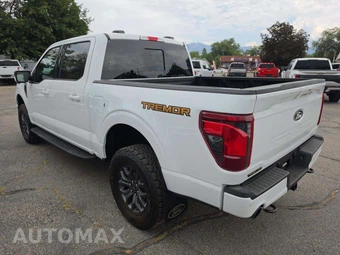 2025 Ford F-150 Tremor Crew Cab Short Bed - miniatura 2