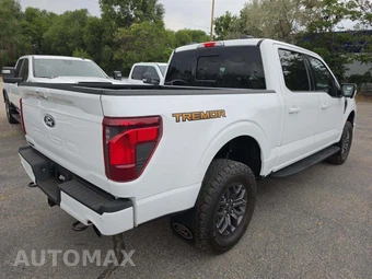 2025 Ford F-150 Tremor Crew Cab Short Bed - miniatura 3