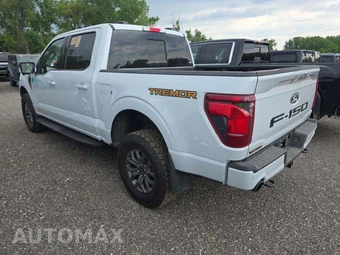 2025 Ford F-150 Tremor Crew Cab Short Bed - miniatura 2